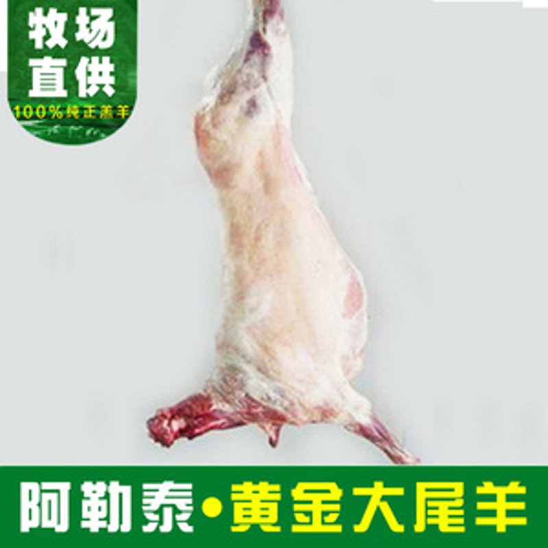 霖君倩婧有限公司：行业动态透视